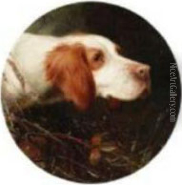 An English Setter Oil Painting - Thomas William Earl