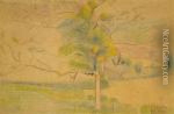 Etude D'arbre Oil Painting - Hippolyte Petitjean