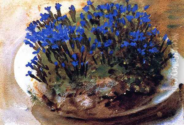 Blue Gentians Oil Painting - John Singer Sargent