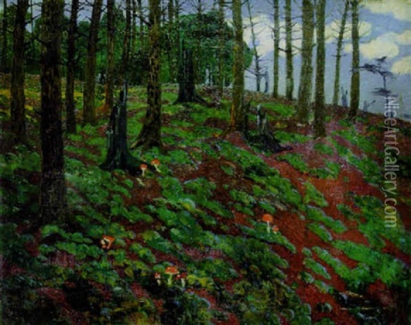 Wald Mit Fliegenpilzen Oil Painting - Hugo Baar