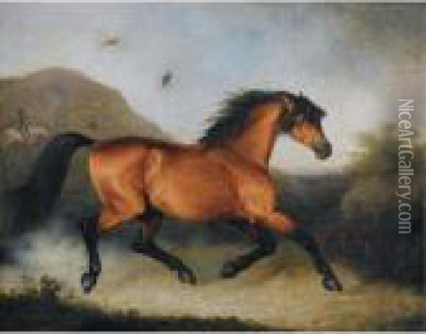Mamoth By Young Whiskey, A Bay Horse The Property Of Colonel Thornton Oil Painting - Henry Bernard Chalon