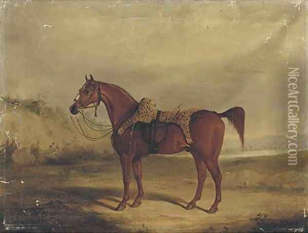 A chestnut horse saddled Oil Painting - Samuel Spode