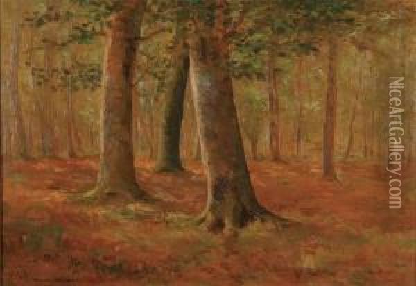 Forest Interior Oil Painting - Oscar Miller