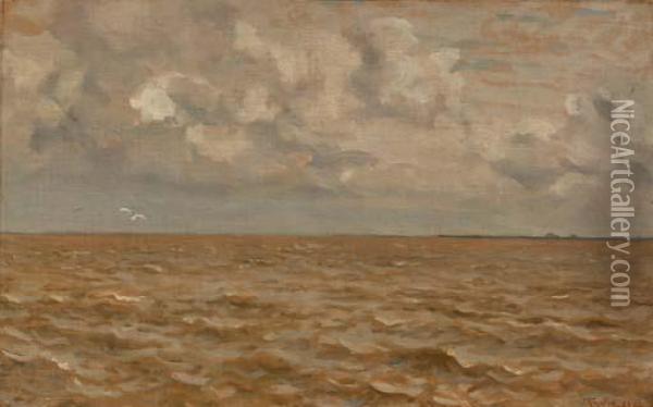 Open Water Oil Painting - Willem Bastiaan Tholen
