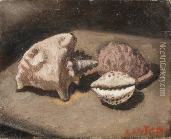 Les Coquillages Oil Painting - Amedee Marie Dominique Dubois de La Patelliere