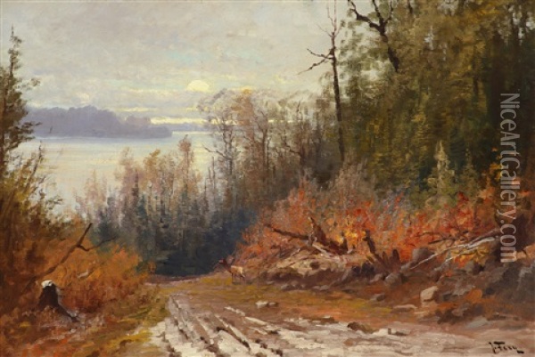 Flathead Lake - View From The East Shore Oil Painting - John Fery