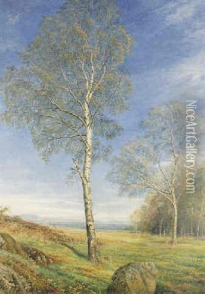 Birch Trees Budding Oil Painting - John MacWhirter