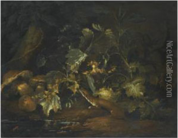 A Forest Floor With A Stoat Scurrying Through Leaves Oil Painting - Niccolino Van Houbraken