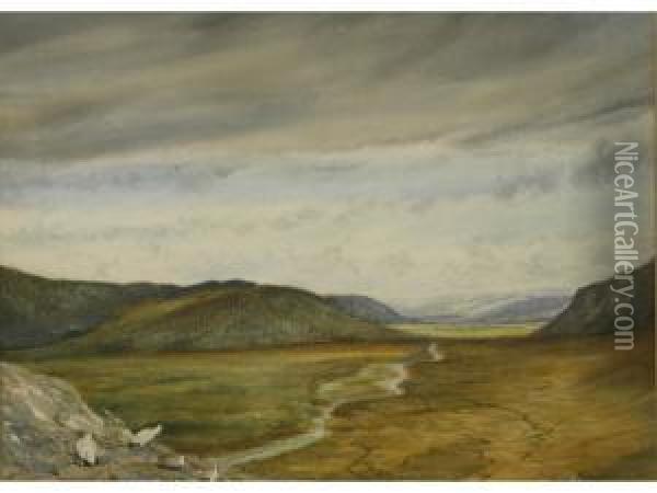 Extensive Scottish Landscapewith Game Birds Oil Painting - Jan Stevens