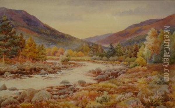 An Autumnal Mountainous River Landscape With Heathers And Firs Oil Painting - J. Gough