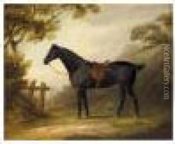 Portrait Of A Saddled Dark Bay Hunter In A Landscape Oil Painting - John Nost Sartorius