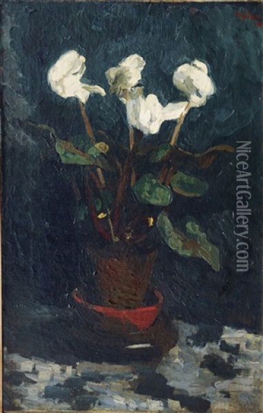 Cyclamen Oil Painting - Franz Noelken