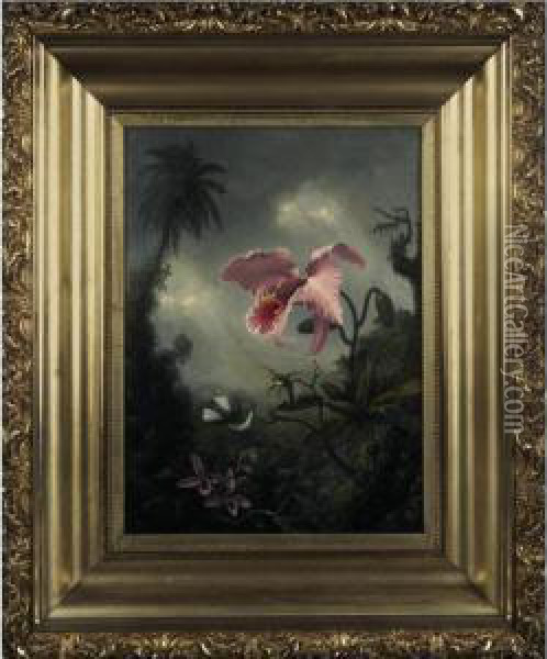 Two Hummingbirds, Two Types Of Orchids And A Palm Tree Oil Painting - Martin Johnson Heade