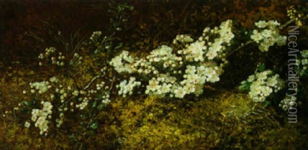Blossom Time Oil Painting - Alexis Kreyder