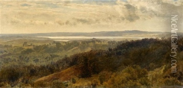 Weite Danische Landschaft Oil Painting - Janus la Cour
