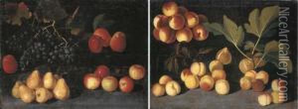 Grapes, Pears And Apples On A 
Forest Floor; And Peaches, Apricots And Figs On A Forest Floor Oil Painting - Giacomo Fardella