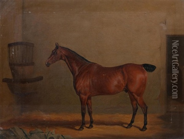 Portrait Of A Chestnut Horse In A Stable With An Initialled Horse Blanket G F H Oil Painting - David (of York) Dalby