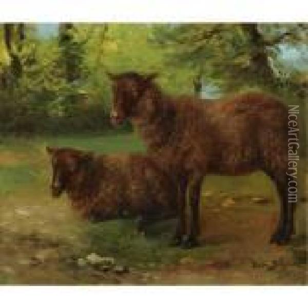 A Pair Of Black Sheep Oil Painting - Rosa Bonheur