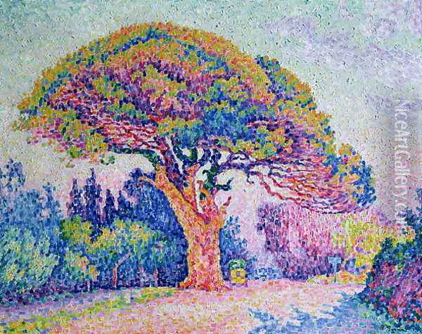 The Pine Tree at St. Tropez, 1909 Oil Painting - Paul Signac