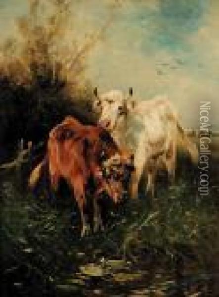 Untitled - Cattle Stopping Forwater Oil Painting - Henry Schouten