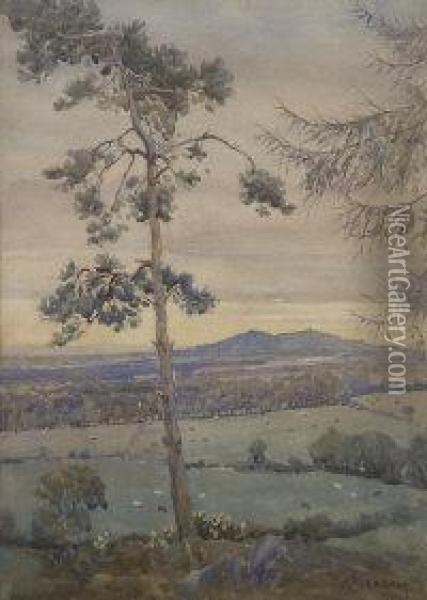 From Near Stepaside Oil Painting - Joseph Poole Addey