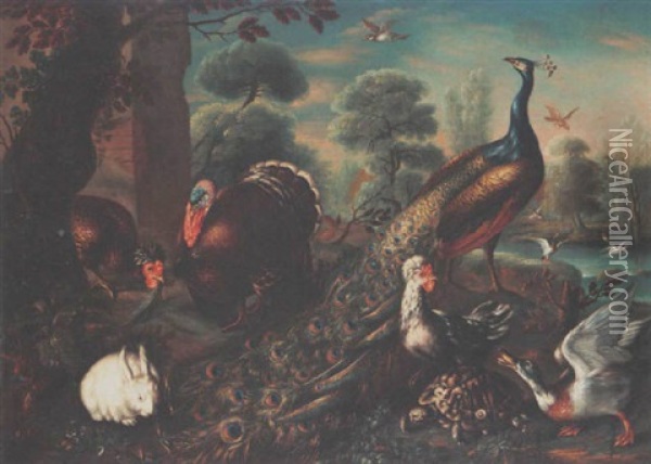A Peacock, A Turkey, Hens, A Duck, A Turtle, A Rabbit And Birds, With Ducks In A Pool In The Background, All In A Park Landscape Oil Painting - David de Coninck