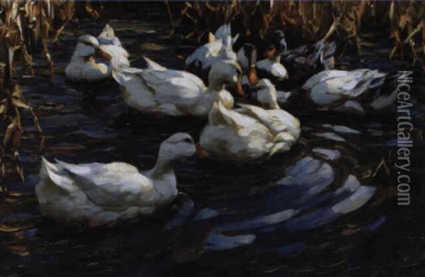Die Enten In Die Marsch Oil Painting - Alexander Max Koester