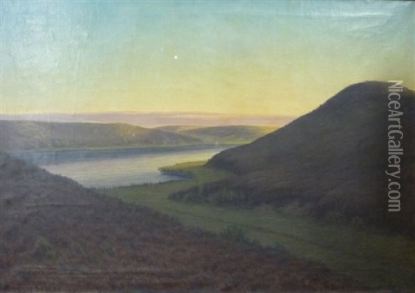 Weite Landschaft In Danemark Oil Painting - Ernst Thorvald Groth