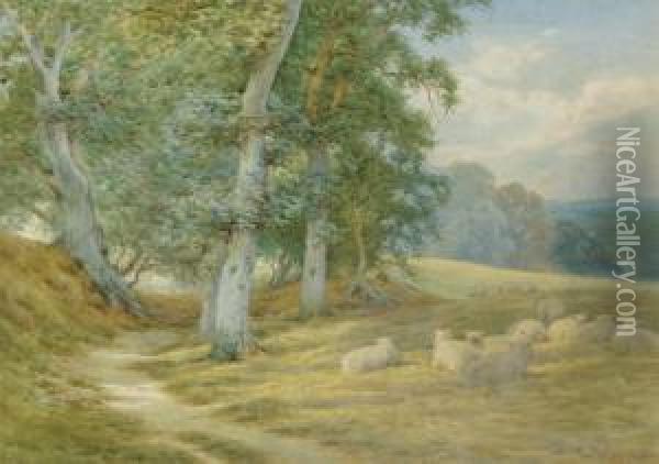 Herding Sheep Along A Surrey 
Lane In Autumn; And Sheep Resting By A Woodland Path (illustrated) Oil Painting - Charles James Adams