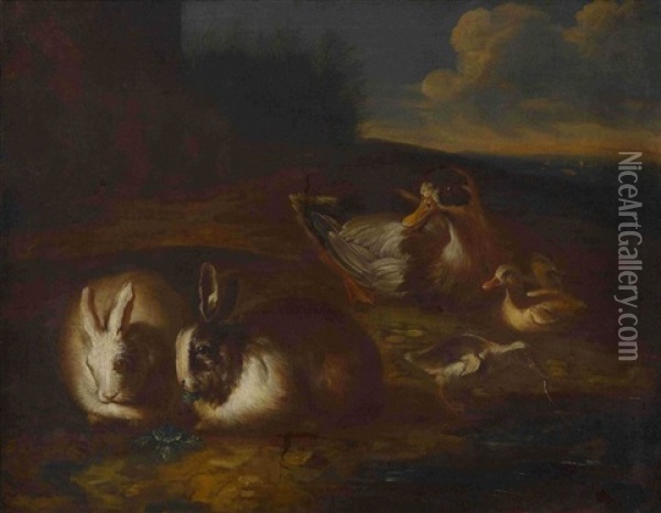 Kaninchen Und Enten Oil Painting - Giovanni Agostino (Abate) Cassana