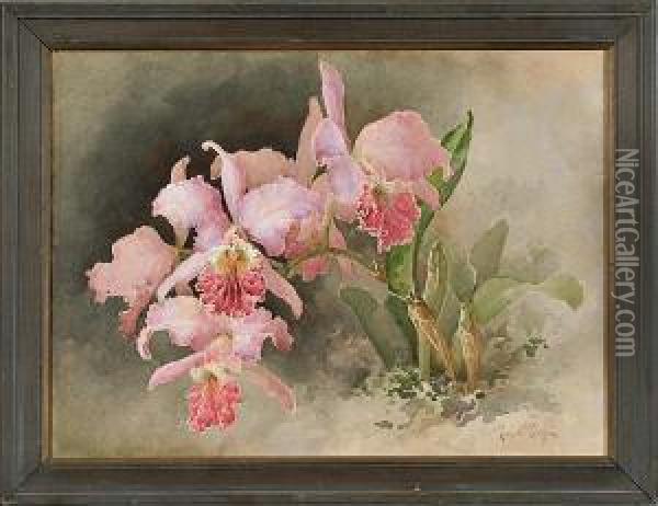 Pink Irises Oil Painting - Paul De Longpre
