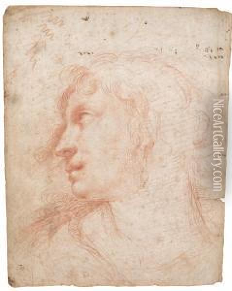 Study Of A Female Head, Seen In Profile, Wearing A Pearlearring Oil Painting - Ercole Ii Procaccini