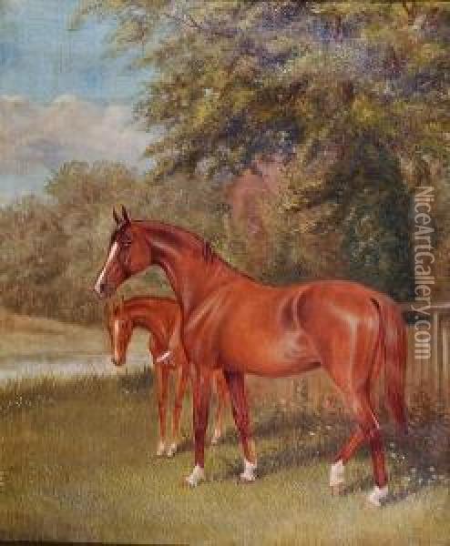 Mare And Foal Oil Painting - George Veal