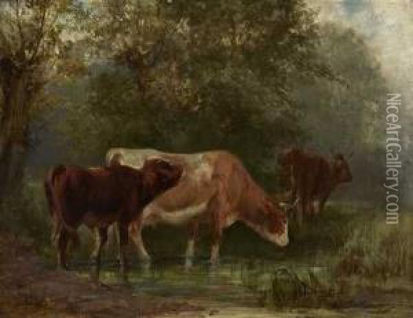 Kuhe In Flachem Ufergewasser Oil Painting - Ludwig Sellmayr