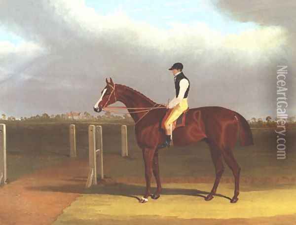 Colonel With Jockey Up Oil Painting - John Frederick Herring Snr