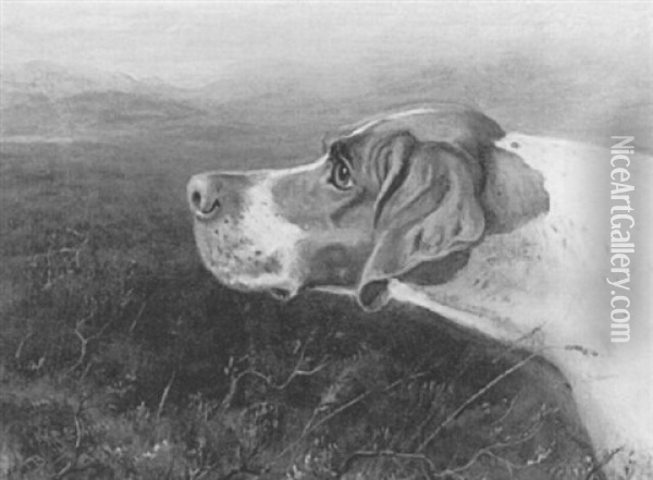 Profile Of A Hound Oil Painting - Thomas Blinks