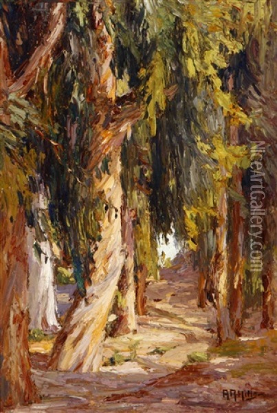 Eucalyptus In Fairy Wood - Laguna Beach, Calif Oil Painting - Anna Althea Hills