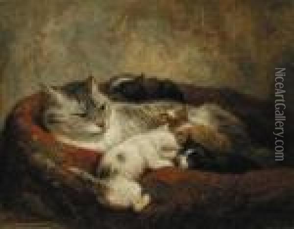 A Mother And Her Kittens Oil Painting - Henriette Ronner-Knip