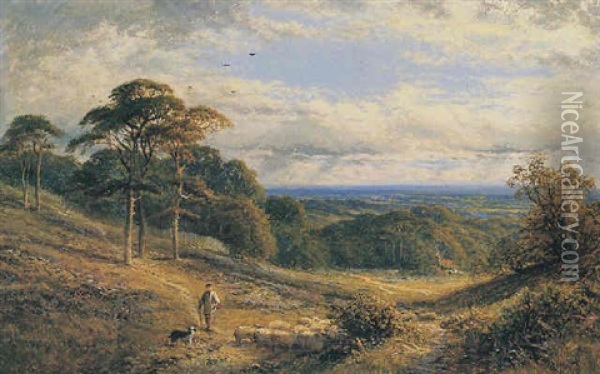 Herding Sheep, A Valley Behind Hampstead Oil Painting - Alfred Augustus Glendening Sr.