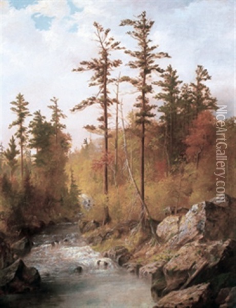 Rocky Stream At The Forest's Edge Oil Painting - Thomas Mower Martin