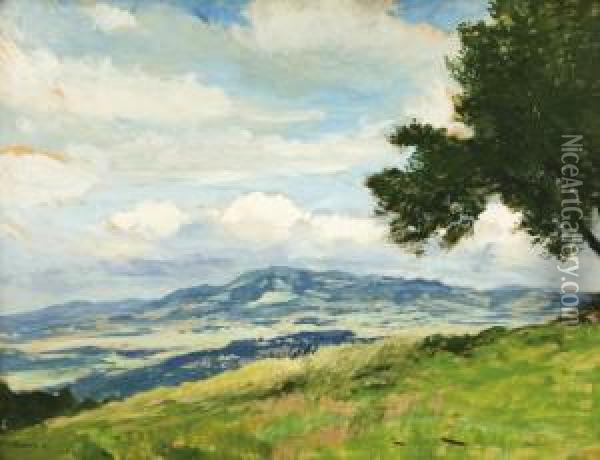 Panorama Z Ceskomoravske Vysociny Oil Painting - Gustav Macoun
