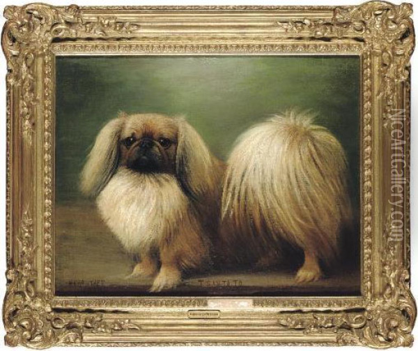 T San Ta To
 A Pekingese Oil Painting - Henry Crowther