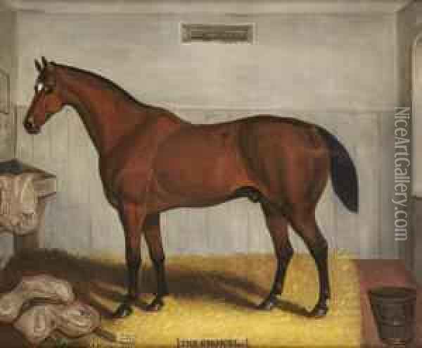 'the Colonel'; Portrait Of A Bay Horse In A Stable Interior Oil Painting - Samuel Spode