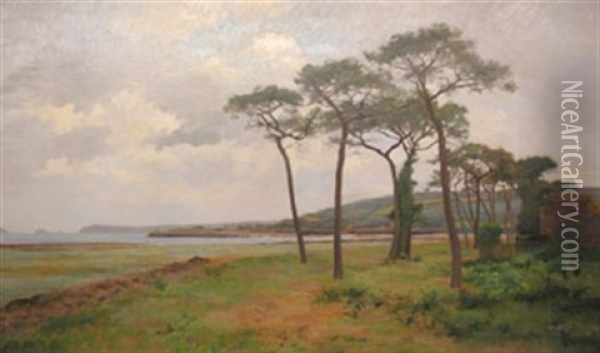 Les Pins, La Cote Bretonne Oil Painting - Pierre Emmanuel Eugene Damoye