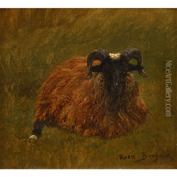 Ram Oil Painting - Rosa Bonheur