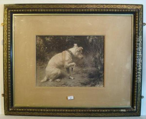 The Jack Russell And A Hedgehog Oil Painting - George Holmes