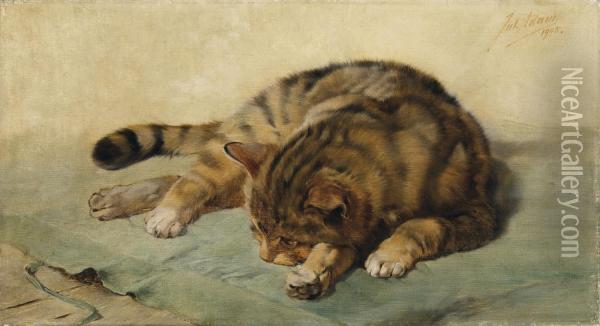Liegende Katze Oil Painting - Julius Adam