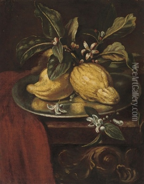Lemons And Blossom On A Partly-draped Table Oil Painting - Giovanni Paolo Castelli (lo Spadino)