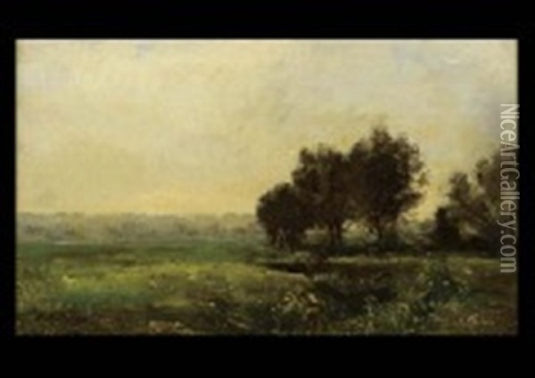 Paysage De Valmondois Oil Painting - Karl Pierre Daubigny