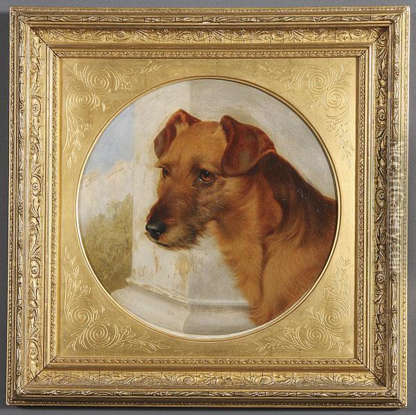Portrait Of A Dog Oil Painting - Robert Nightingale
